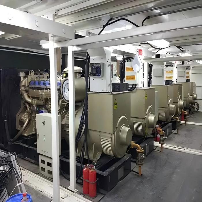 300KW biomassegeneratorsett